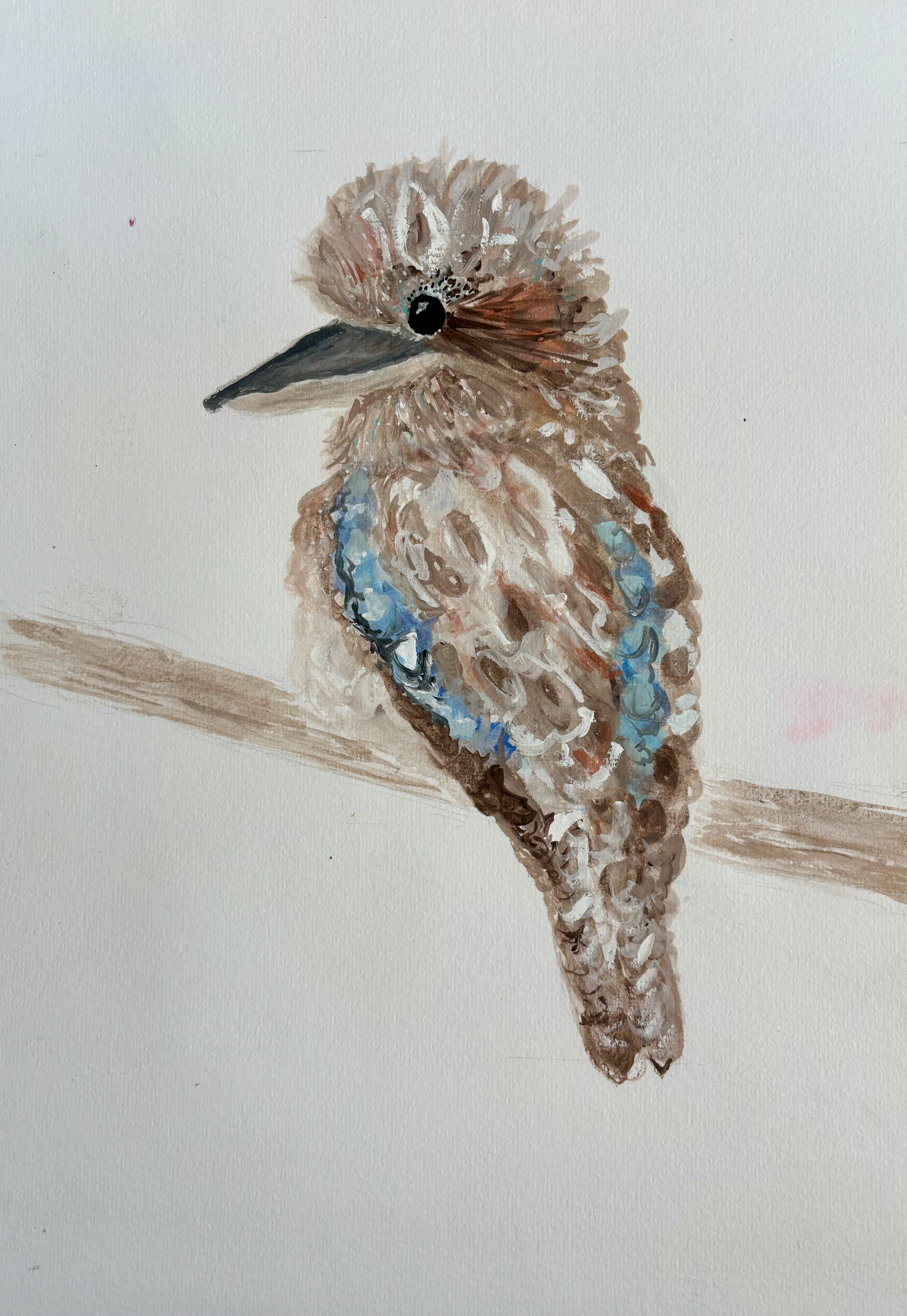 Expressive kookaburra study