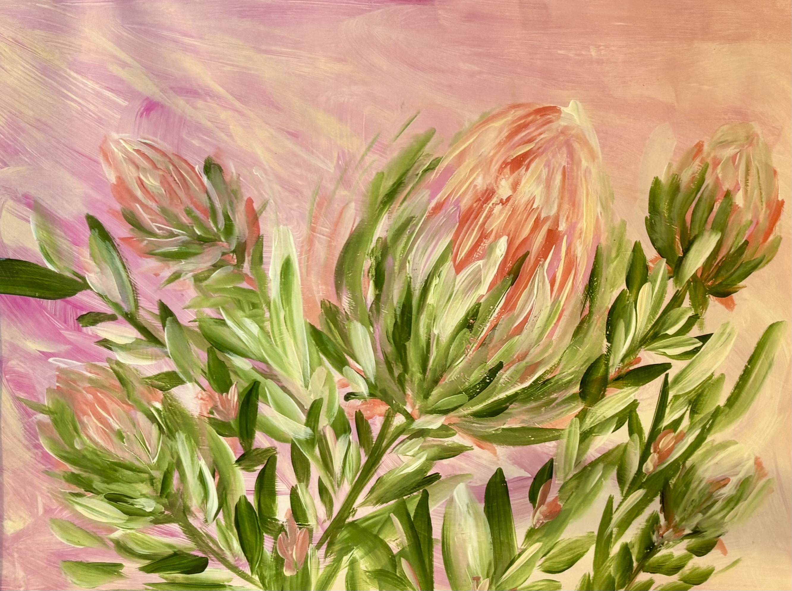 Soft pink protea flowers and green leaves